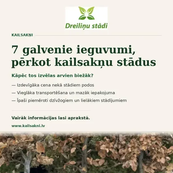 Dreiliņu stādi - stādaudzētava — Instagram