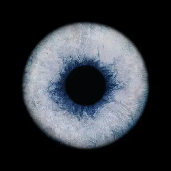 ViiEye - augstākās kvalitātes acu fotostudija — Instagram
