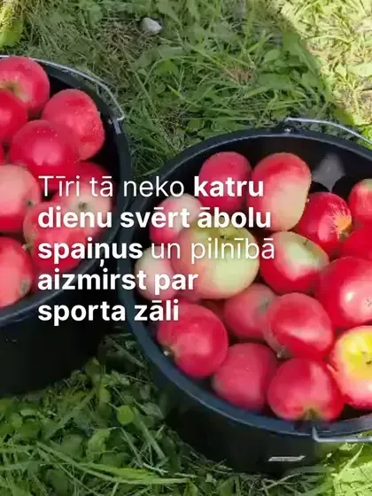 Dārzkopības institūts, APP Dobeles ceriņi — Instagram