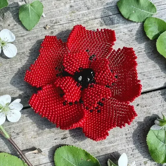 Rotu māksliniece Agnese Lapiņa — Instagram