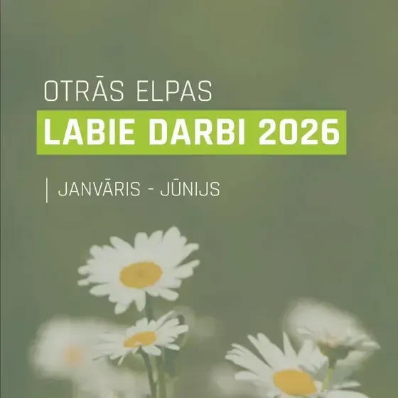 OTRĀ ELPA, labdarības organizācija — Instagram