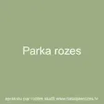 Natālijas rozes — Instagram