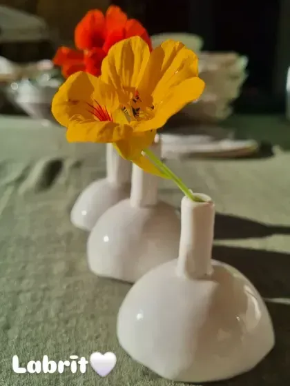 BALANCE DESIGN - APGLEZNOTI PORCELĀNA TRAUKI  UN ROTAS — Instagram