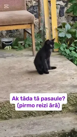 ODZE ART - unikālas vara rotas — Instagram