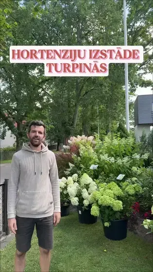 7 rozes, stādaudzētava — Instagram