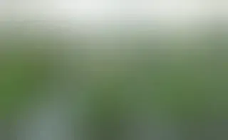 Zemnieku saimniecība "Bērziņi" — Facebook