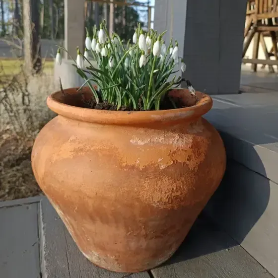 Muscari Linen SIA — Instagram