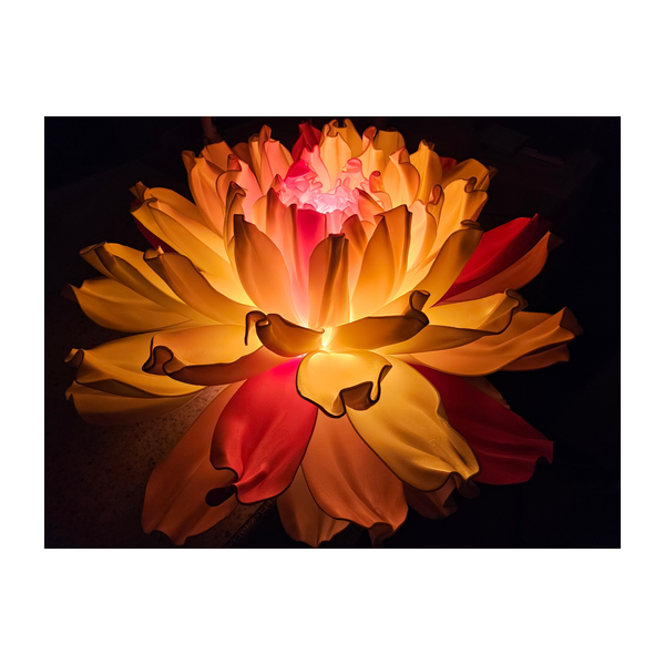 Paradise Flowers lampas