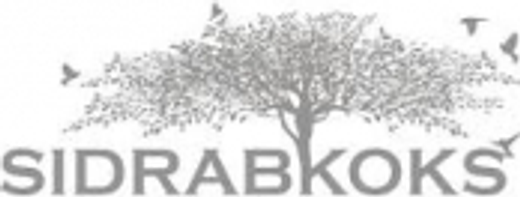 Sidrabkoks SIA logotips