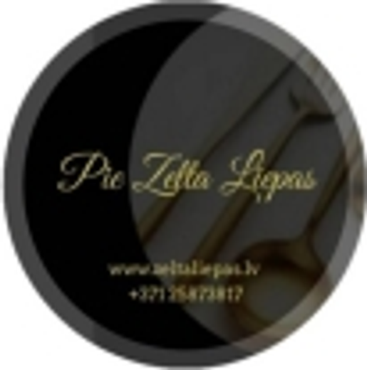 Zelta Liepa Debesu Bļodā SIA logotips