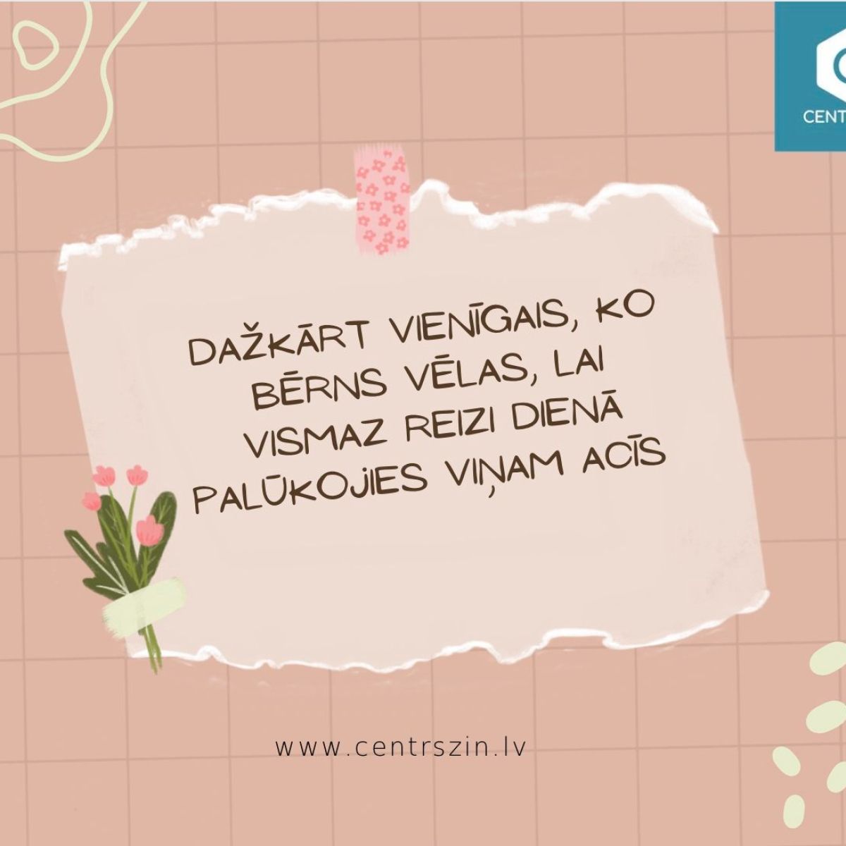 Centrs ZIN - Plecs