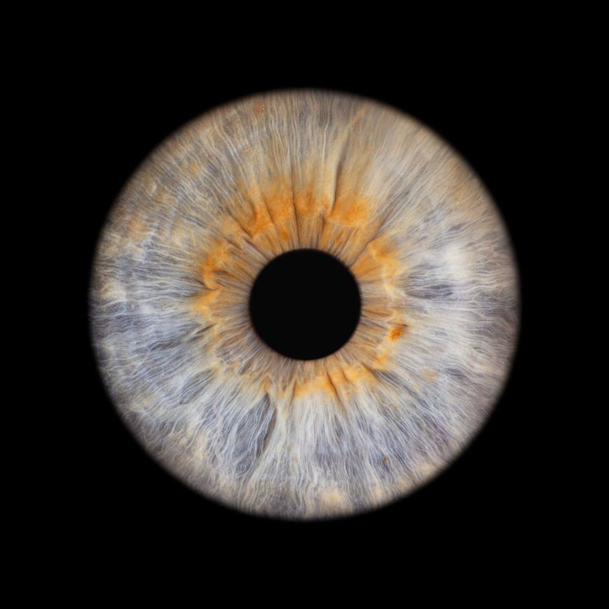 ViiEye