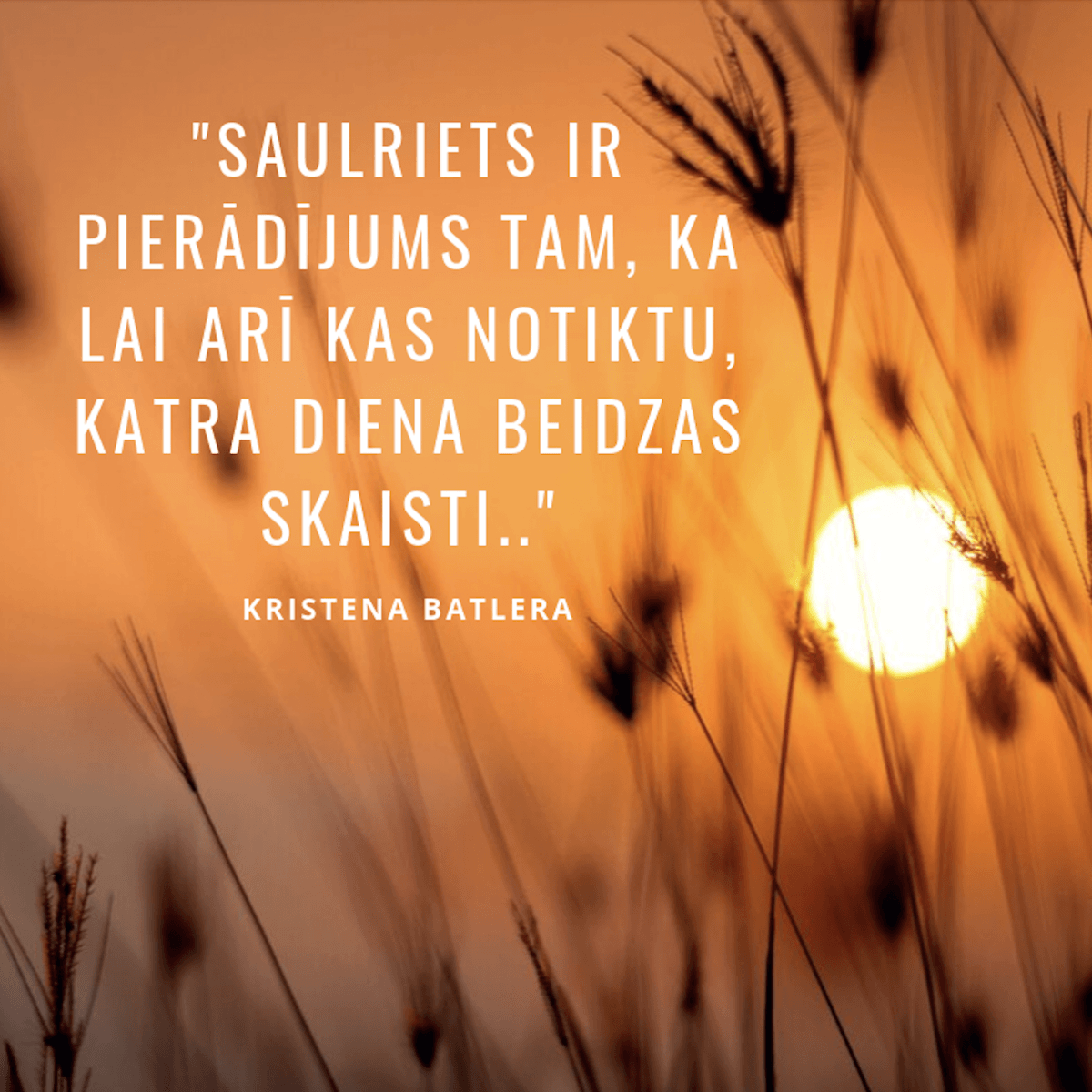 Iespēja izaugmei SIA