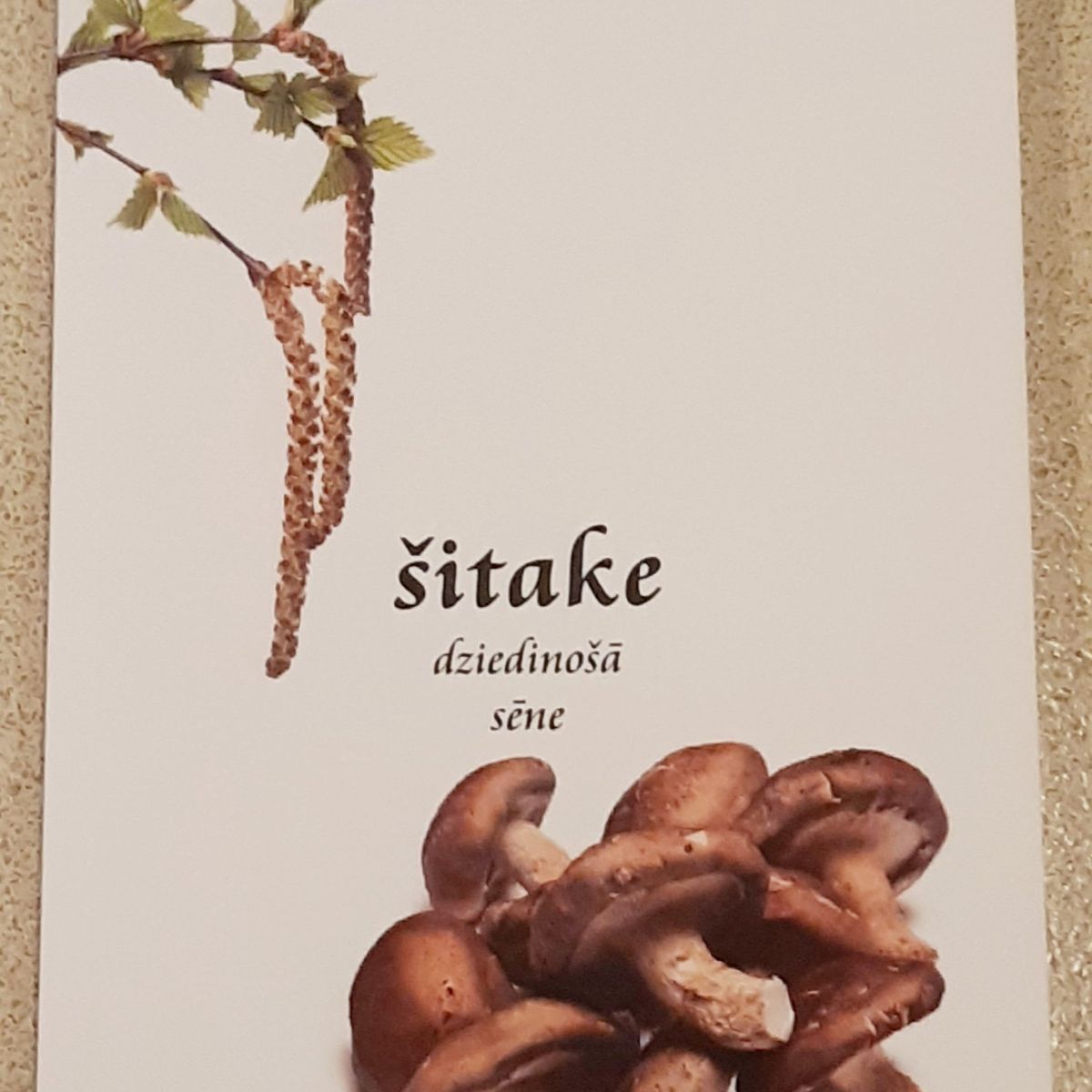 Sitake-gramata-scaled