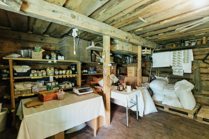 kanepju-audzesanas-saimnieciba-adzelviesi-visitvalmiera-1