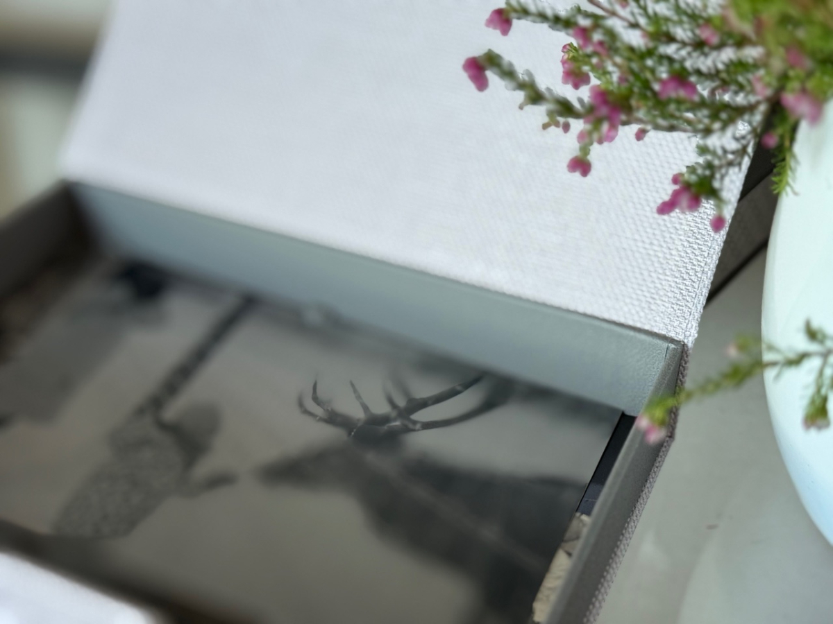 60993_d80bdede-dc29-4605-94af-20bea445a70e-img_6502