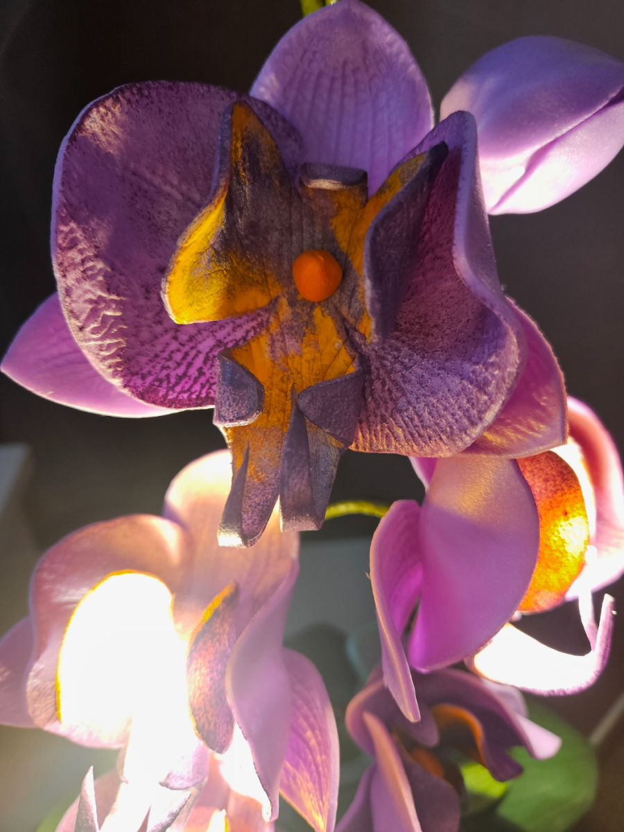 61039_20260127_133517