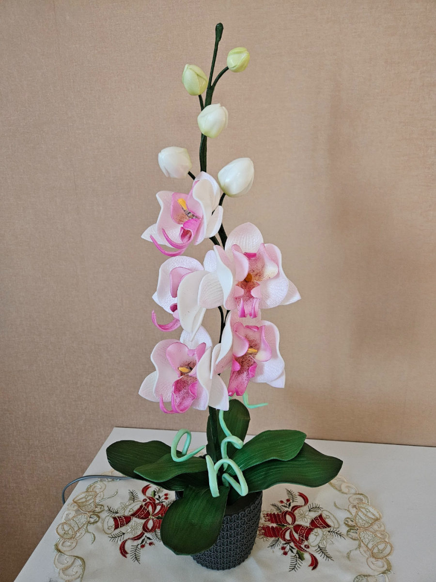 61039_20260202_153649