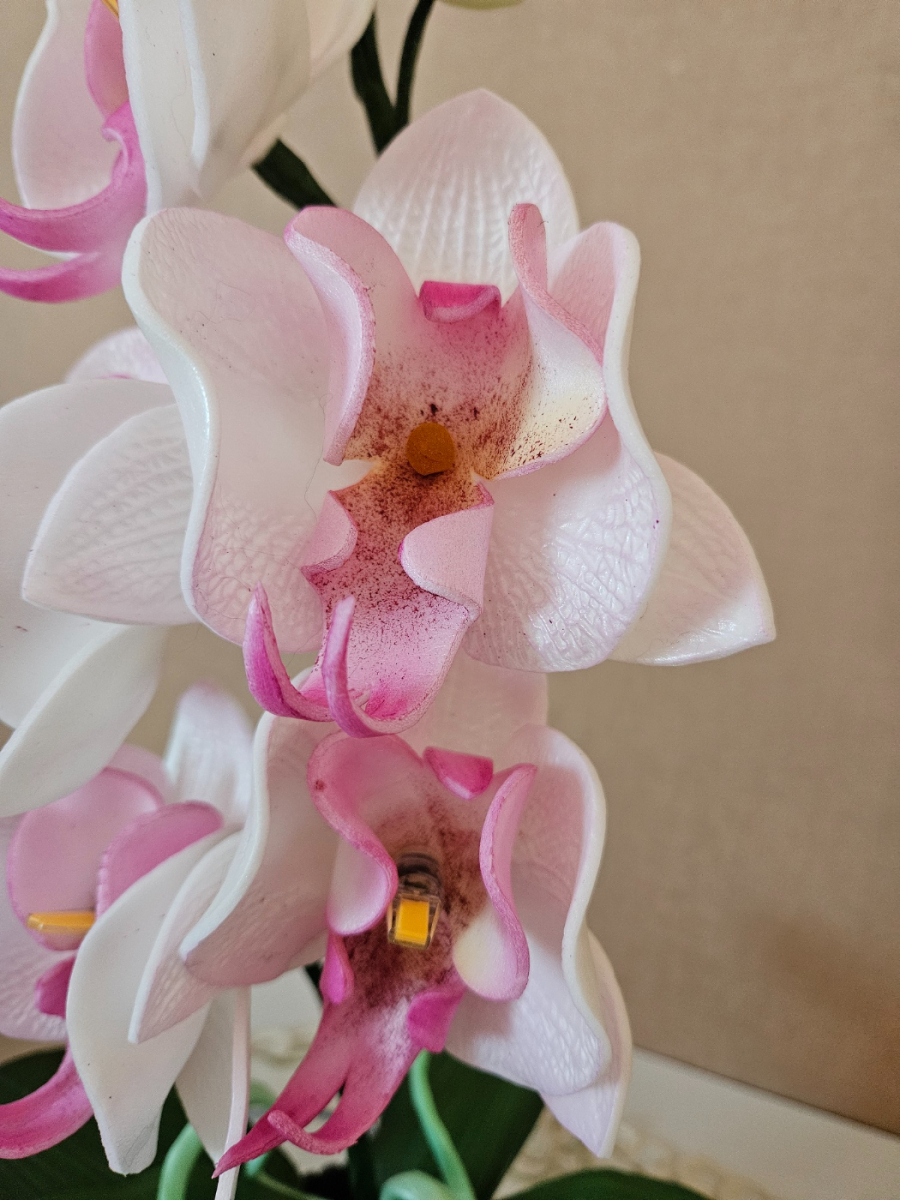 61039_20260202_153717