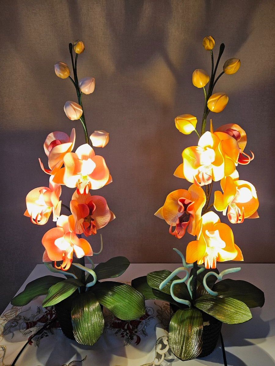 61039_20260202_155744