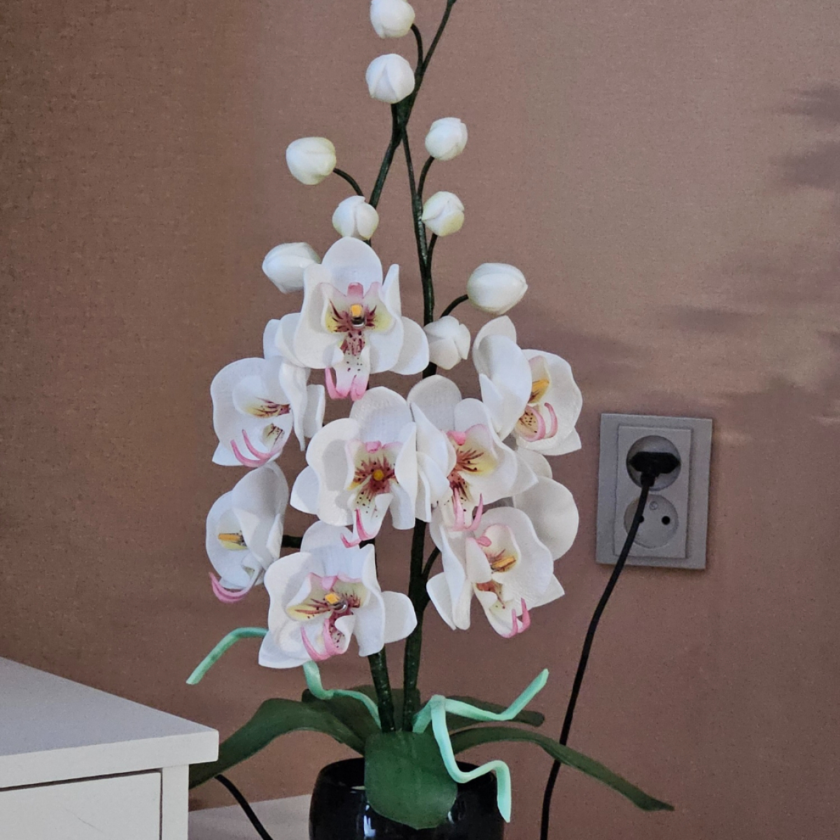 61090_20260119_154339