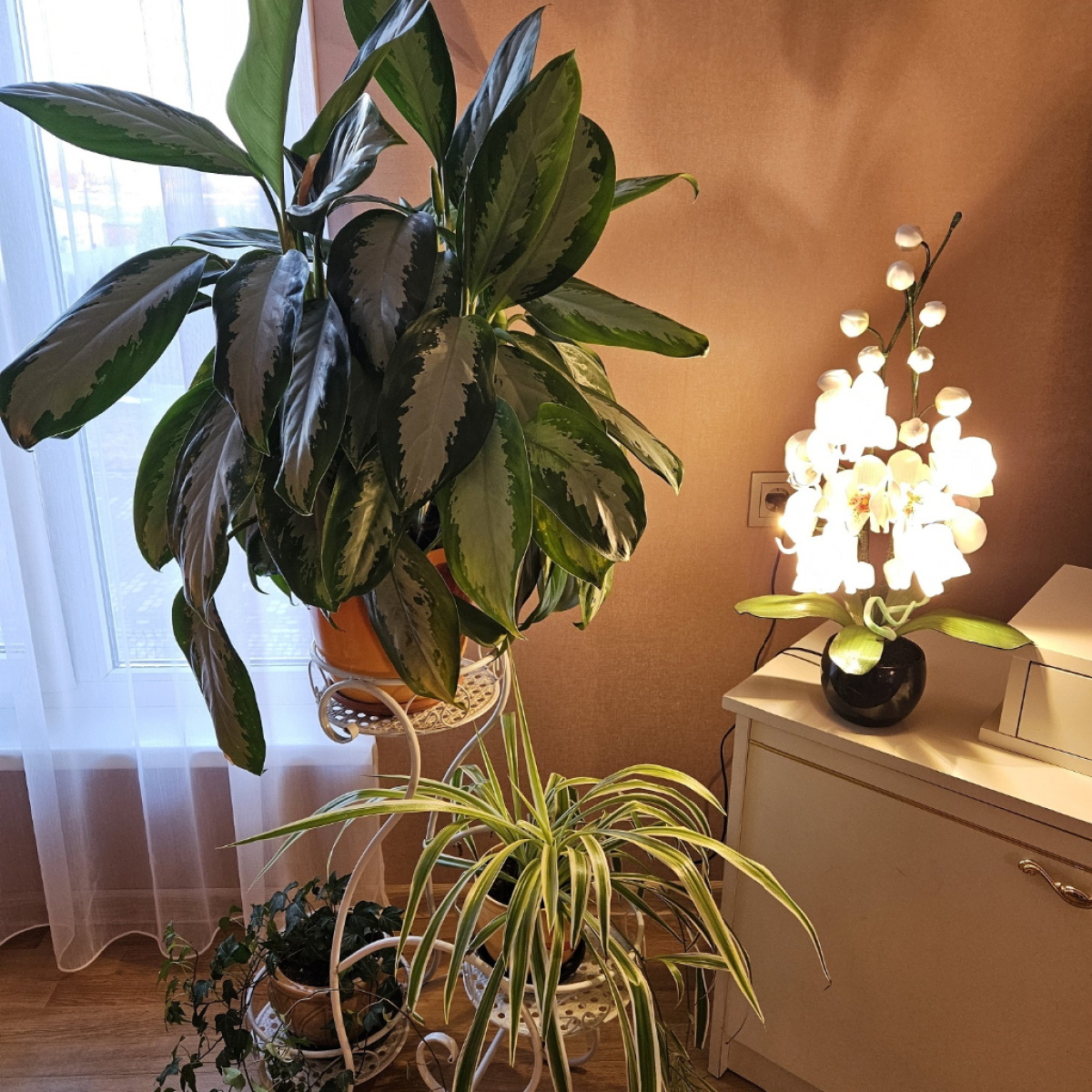 61090_20260304_174708