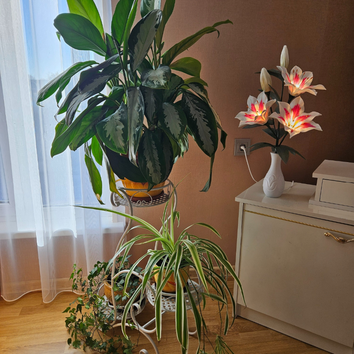 61091_20260304_104610